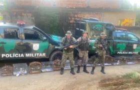 Ação policial em Rio Bonito e Niterói tem mais de 40 pássaros apreendidos