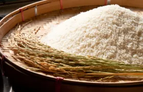 Arroz importado da Tailândia chega ao Brasil na primeira quinzena de julho