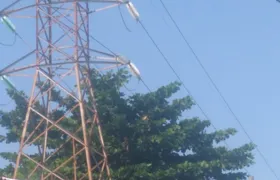 Árvore encosta em rede elétrica e causa riscos a moradores do Vila Lage