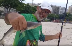 Baby shark? Pescador fisga tubarão na praia de Icaraí