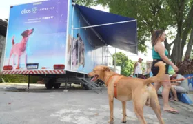 Cães e gatos são castrados gratuitamente no Jardim Catarina