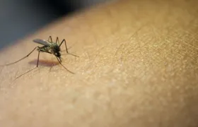 Cláudio Castro decreta o fim da epidemia da Dengue