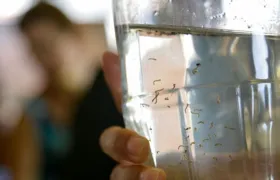 Dengue: Rio chega a 58 mortes; SG e Niterói segue sem óbitos confirmados