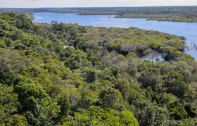 Desmatamento na Amazônia cai 30,6% em um ano; saiba mais