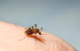 Estado do Rio mantém decreto de epidemia de dengue