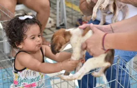 Feira de Adoção de Animais chega neste sábado (14/09) a Praça do Barroco