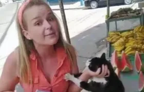 Gata é esganada por mulher na Zona Oeste do Rio