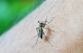 Governo do Rio decreta epidemia de dengue no estado