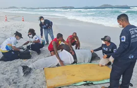 Guarda-vidas auxiliam resgate de golfinho em Cabo Frio