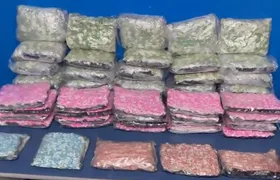 Homem é preso com 50 mil comprimidos de ecstasy na Rodoviária do Rio