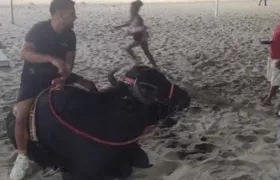 Homem passeia com búfalo na Praia de Copacabana: "Vou realizar o sonho do Bill"