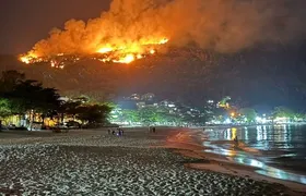 Incêndio na mata do Morro das Andorinhas pode ter sido criminoso; Entenda