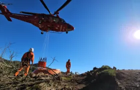 Incêndios florestais crescem cerca de 85% no Estado do Rio de Janeiro