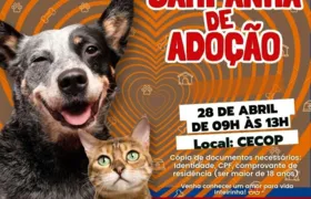 Maricá promove campanha de adoção de cães e gatos