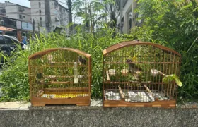 Morador do Galo Branco vai parar na Delegacia por cativeiro de aves