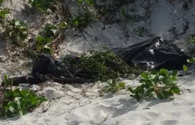 Mulher é encontrada morta na Praia do Forte, em Cabo Frio
