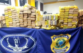 PRF apreende 200 quilos de maconha na Rodovia Presidente Dutra