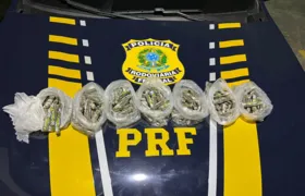 PRF intercepta veículo com carga de maconha na BR-040