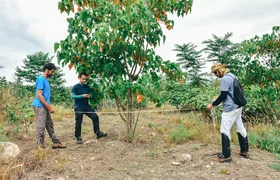 Parque Paleontológico de Itaboraí recebe 65 mil mudas de diferentes espécies