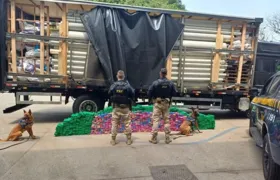 Polícia Rodoviária Federal apreende meia tonelada de maconha na Via Dutra