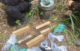 Polícia apreende 5 kg de maconha em Buzios, na Região dos Lagos
