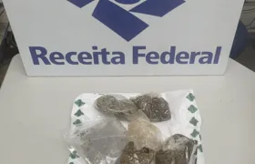 Receita Federal apreende mais de R$ 636 mil em metanfetamina e skunk no Aeroporto do Galeão