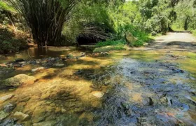 Rio Ubatiba será o primeiro destino do Circuito Ecológico Caminhos de Maricá de 2024