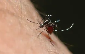 Rio chega a 72 mortes por dengue em 2024