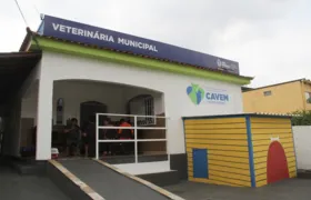Mais de 500 vagas abertas para castração de cães e gatos em São Gonçalo