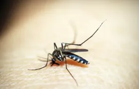 Sobe para 9 número de mortos por dengue no Rio de Janeiro
