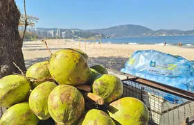 Vai dar praia! Previsão aponta tempo firme para o fim de semana; Confira