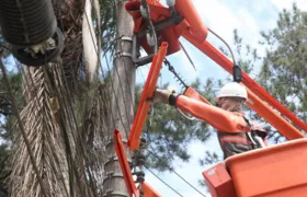 Vereador compartilha 'desabafo' de funcionário da Enel