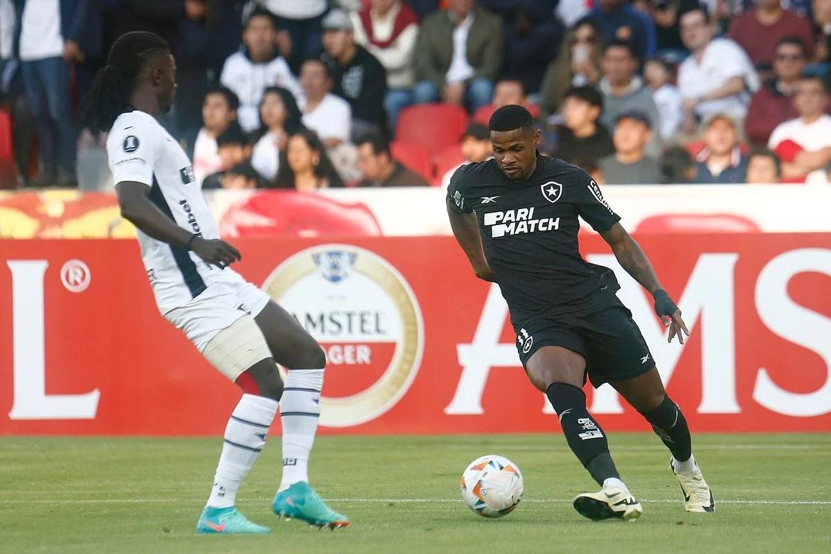 Botafogo perde para LDU e se complica na Libertadores | Portal O São ...