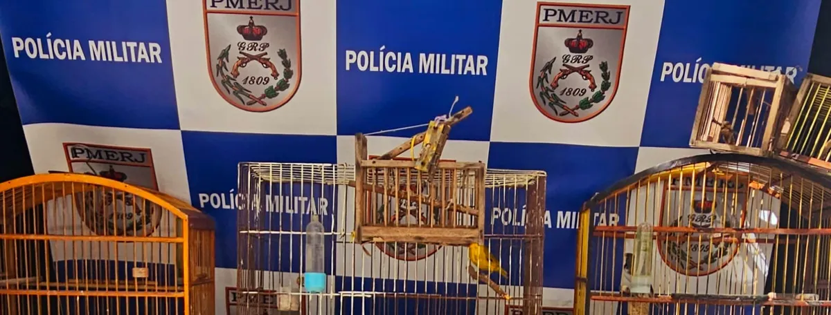 Dados do programa Linha Verde mostram aumento de 133% de denúncias relativas aos crimes ambientais no município de Cabo Frio