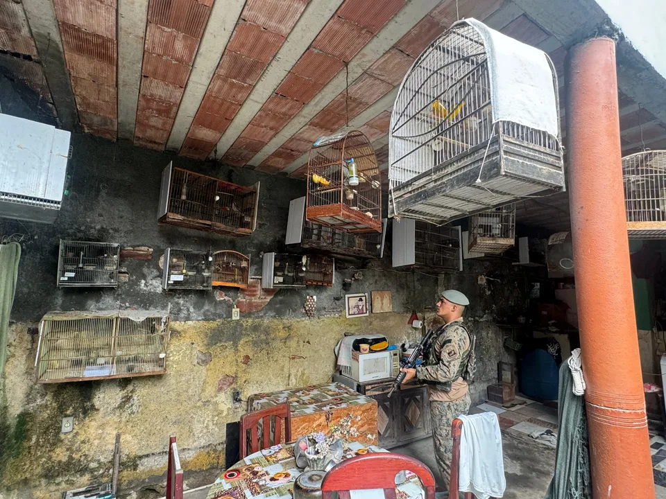 Polícia Ambiental encontrou cativeiro de aves no Barro Vermelho, em São Gonçalo