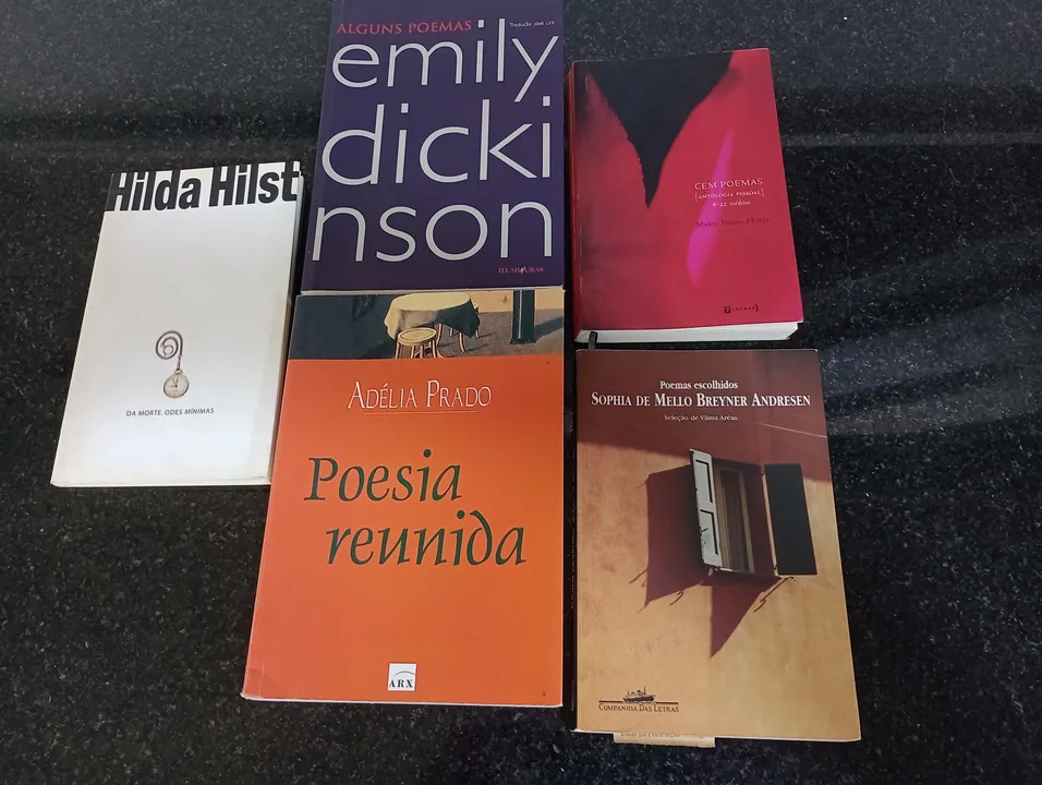 O projeto tem como objetivo principal a leitura de poemas para debate com o grupo, visando a amplitude da cultura literária e a posteriori o autoconhecimento de cada participante da oficina