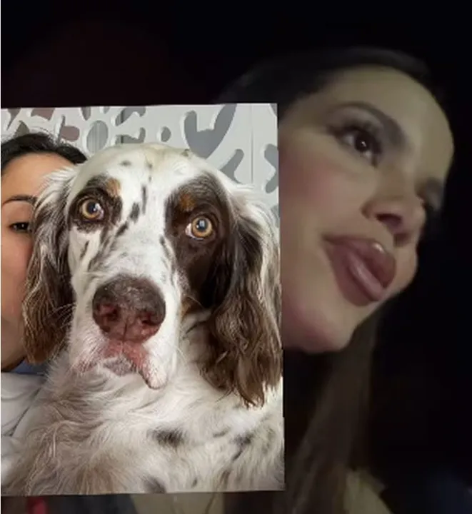 Anitta procura pelo seu cachorro Charlie, que fugiu na noite de Natal