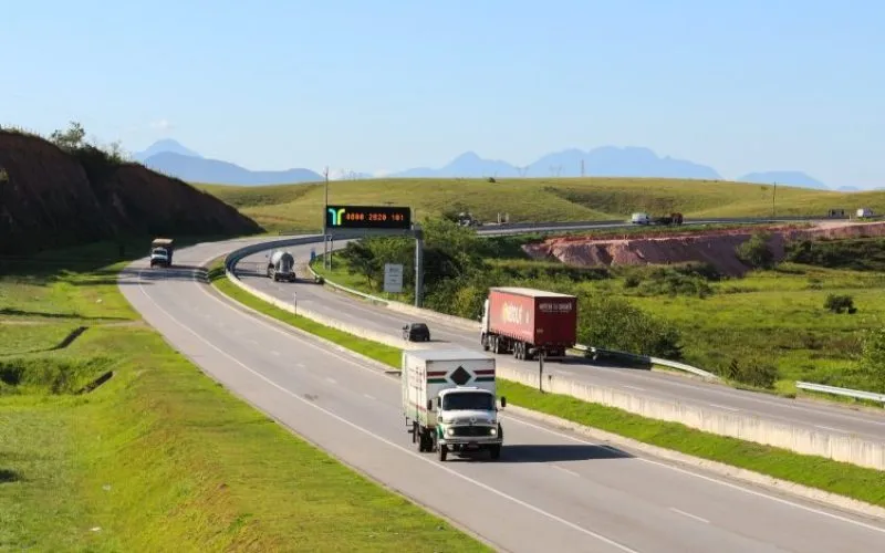 Um caminhão que transportava carga de madeira tombou na BR-101, altura do km 247