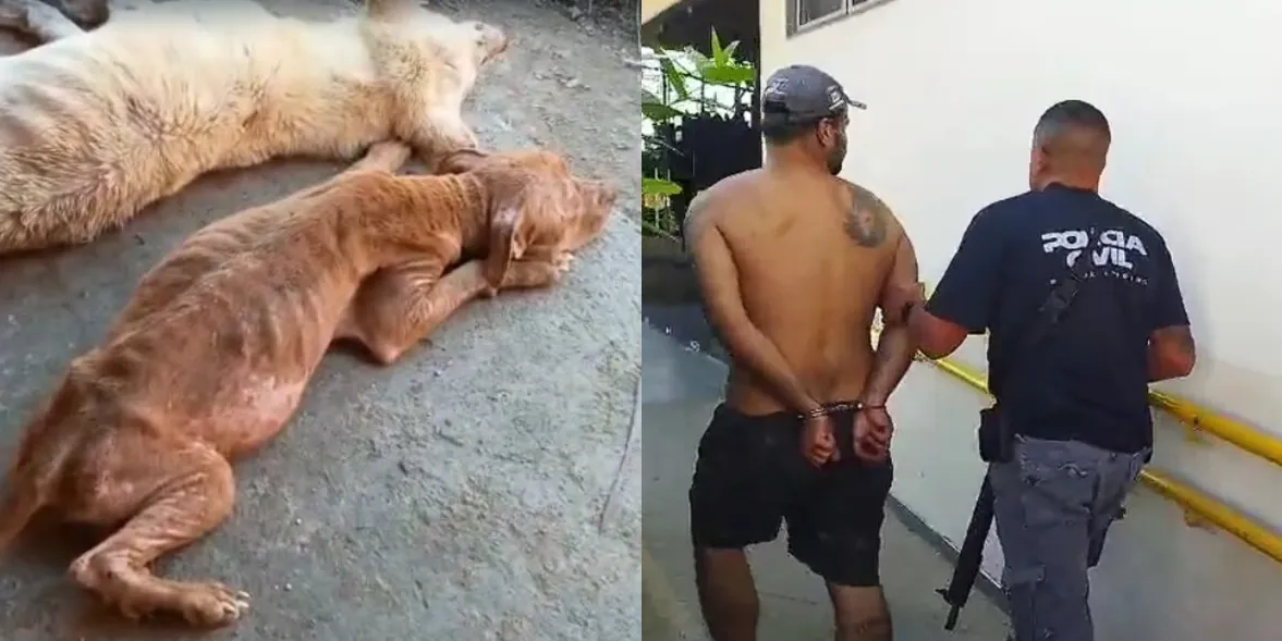 Homem já tinha passagens na Polícia por maus tratos
