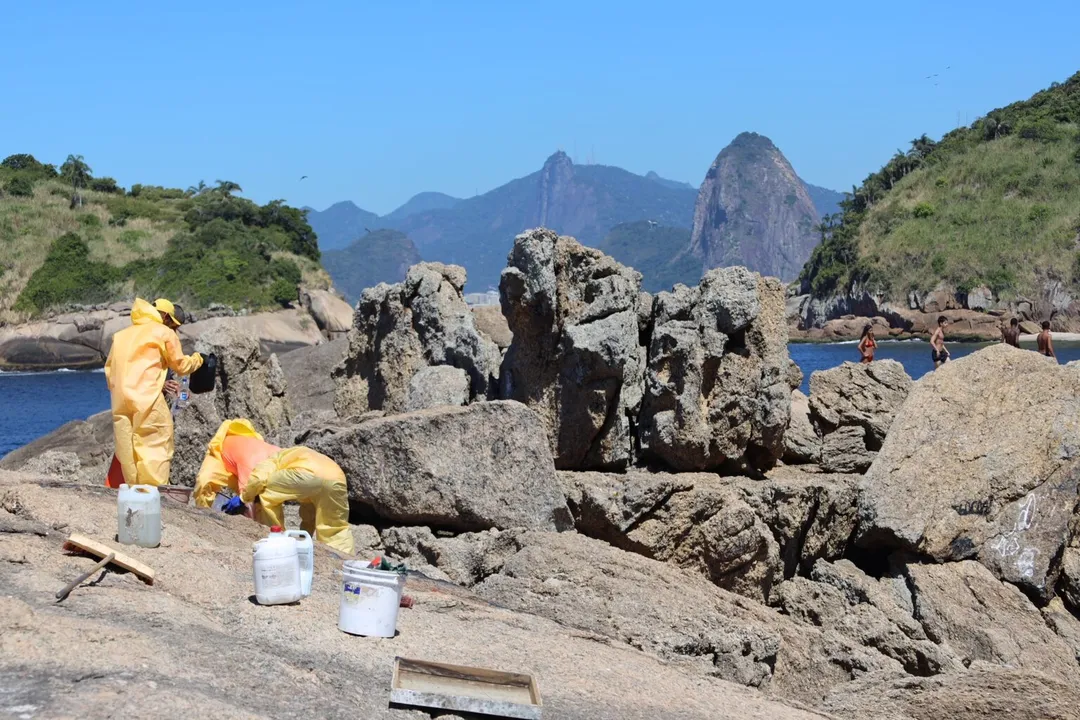 Prefeitura de Niterói.