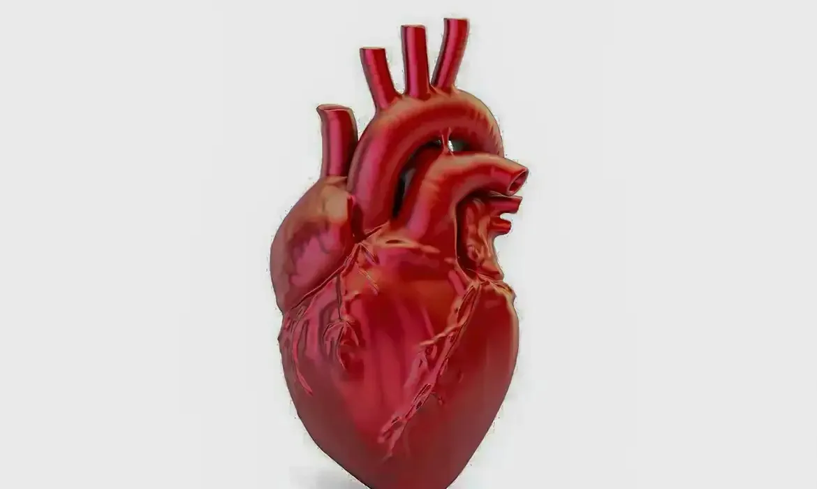 Apesar dos dados alarmantes, especialistas lembram que até 80% dos casos de doenças cardiovasculares podem ser evitados com prevenção e diagnóstico precoce