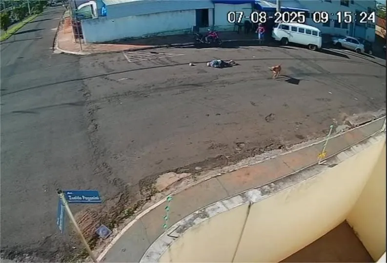 Idoso bateu forte com a cabeça no chão após ser derrubado por um cachorro