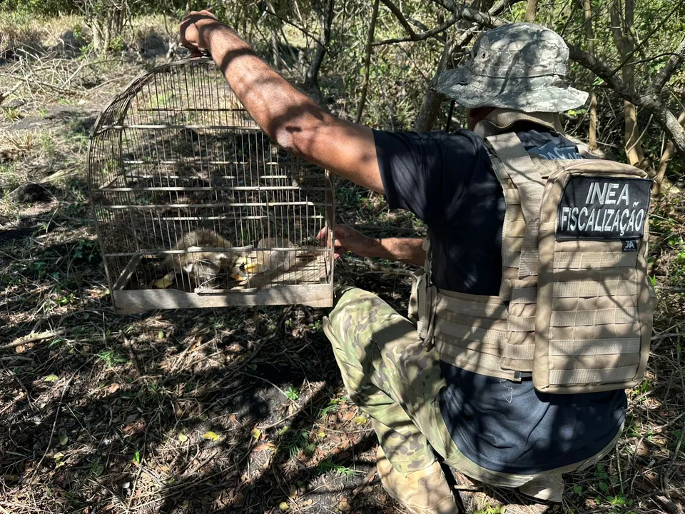 Filho de mão pelada havia acabado de ser capturado por infratores ambientais