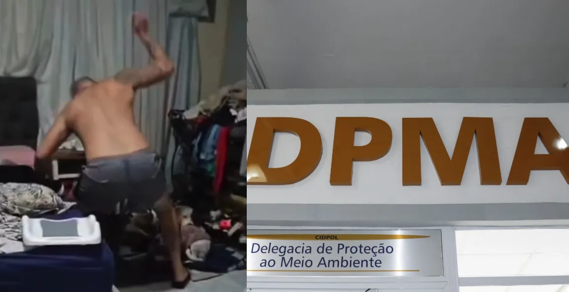 Suspeito teria o costume de desferir socos e golpes contra os animais; ele foi levado à Delegacia do Meio Ambiente