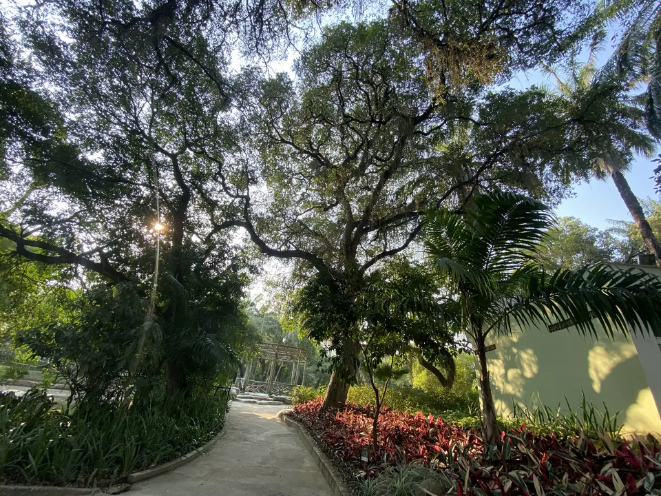 A cidade também se tornou a segunda do Brasil a receber o selo "Cidade Amiga das Árvores" da Sociedade Brasileira de Arborização Urbana (Sbau)