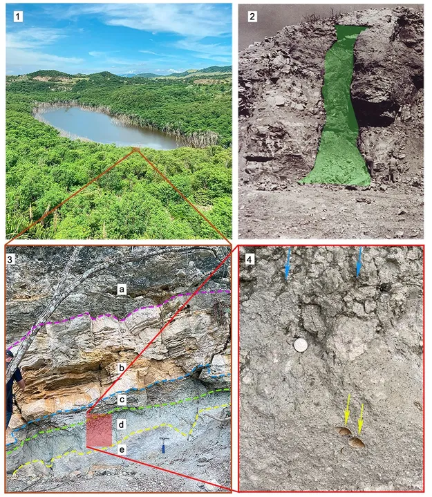 Ao todo, desde sua fundação, o Parque Paleontológico de São José de Itaboraí tem se consolidado como um dos mais importantes sítios fossilíferos do planeta