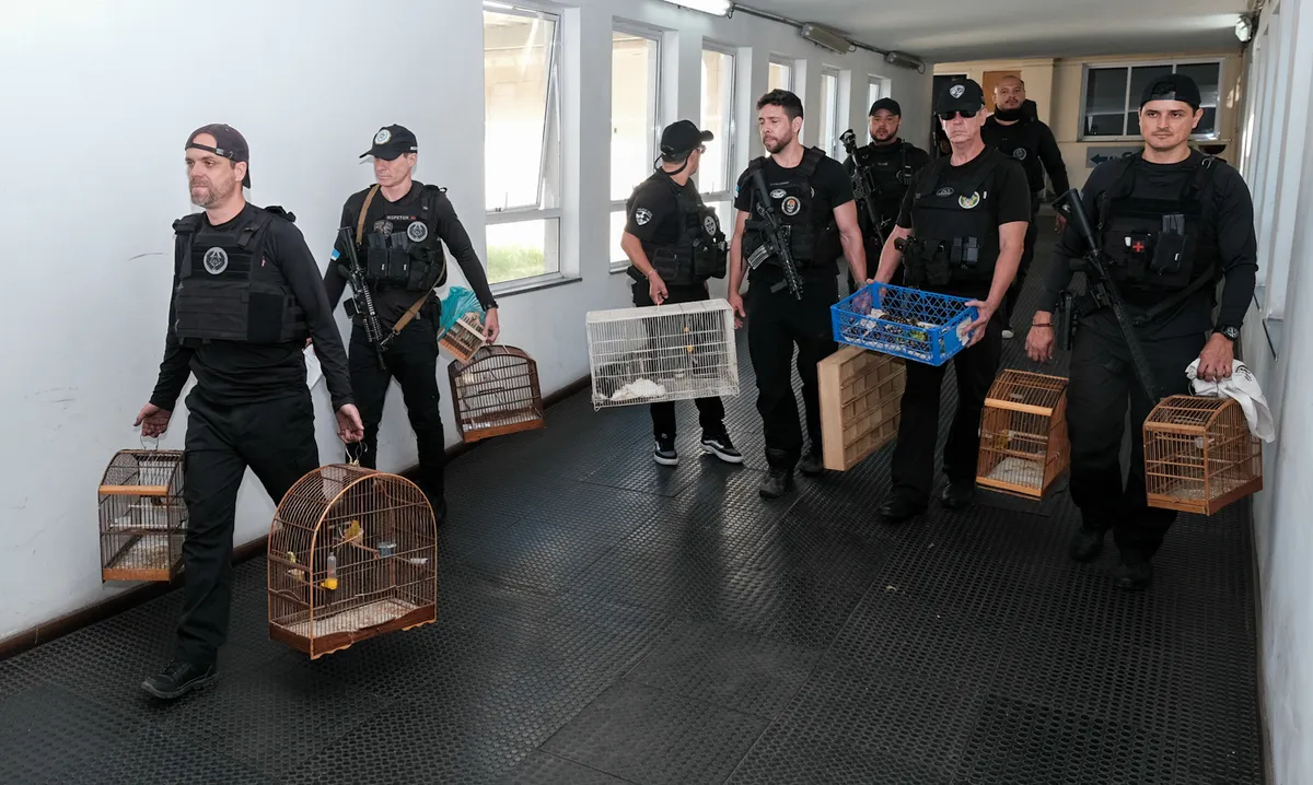 Investigações da Polícia Civil revelaram que a organização criminosa atuava há décadas no tráfico de animais