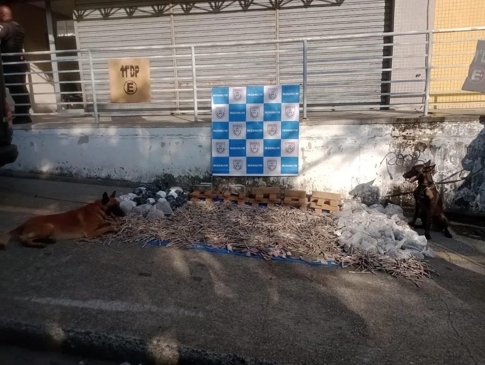Material apreendido durante a ação