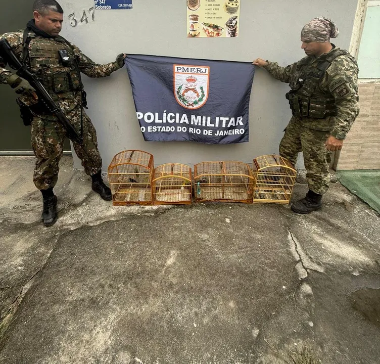Denúncia levou PMs a cativeiro ilegal de aves no bairro Rio do Limão, em Araruama