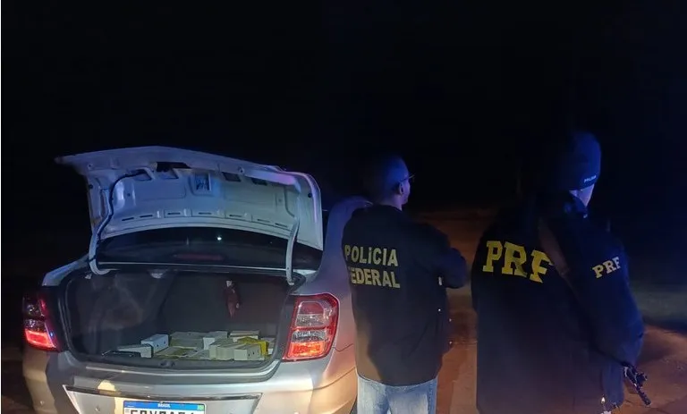 90 aves silvestres são apreendidas na Serra de Petrópolis